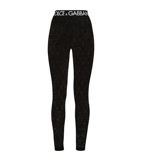 dolce gabbana leggings women's